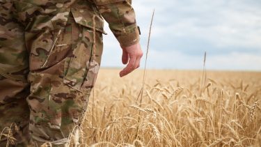 Katona szemlél gabonatáblán: a háború drágább termelést, de jobb termelői árakat hozhat