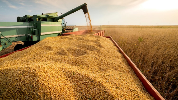 Kína újra vásárol USA-szóját, enyhül az EU importnyomása?