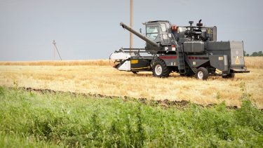 Orosz kombájn búzaaratáskor