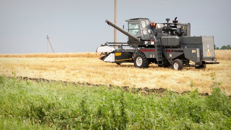 Orosz kombájn búzaaratáskor