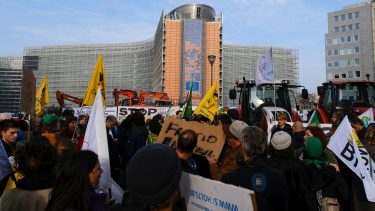 szarvasmarha húsmarhatartás legelő