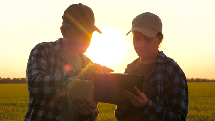gazdák egyeztetés szántóföld