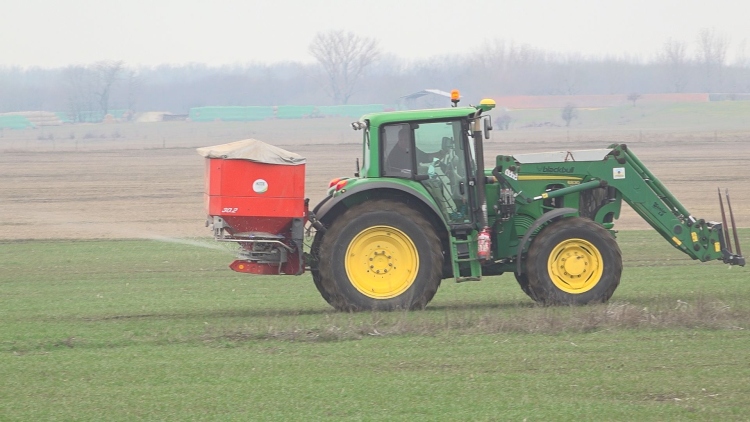 Nitrogénnel „ébresztik” a búzát