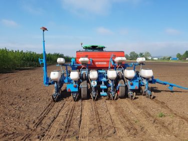 Napraforgó vetése precíziós vetőgéppel, megfelelő térállással.