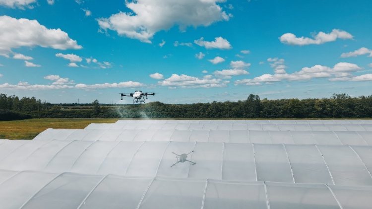 A drónos kijuttatás növeli a munkabiztonságot, miközben gyorsabb és pontosabb fedést ad a fóliasátrakon. (fotó: ABZ Drone Kft.)