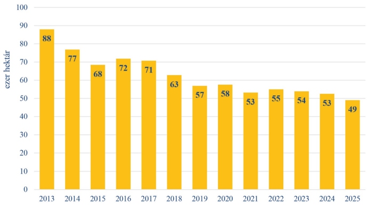 1. ábra. A silókukorica termőterülete Magyarországon 2013–2025 között(forrás: AKI adatbázis)