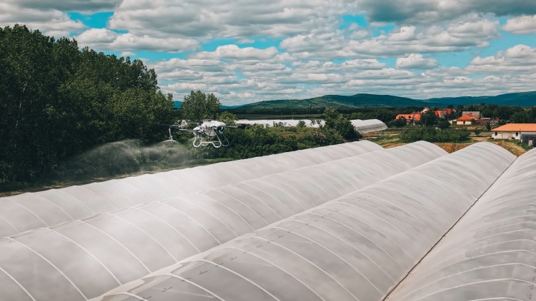 A drónnal végzett árnyékolófestés nagyobb fóliasátorrendszereknél is hatékony és biztonságos megoldás lehet. (fotó: ABZ Drone Kft.)