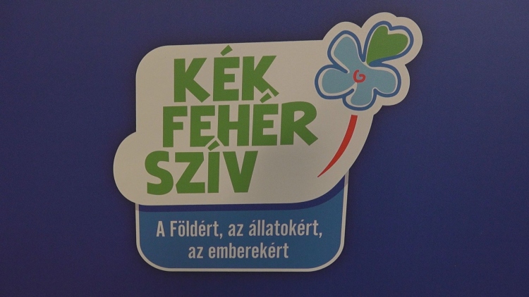 Kék Fehér Szív Egyesület logója