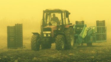 Öreg traktorral takarítják be a terményt Dél-Magyarországon: még mindig nagy az alapanyag-árukibocsátás a mezőgazdaságban (Illusztráció: Horizont Média/Kohout Zoltán)