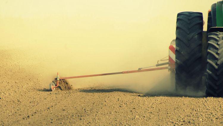 száraz talaj vetés csoroszlya vetőgép