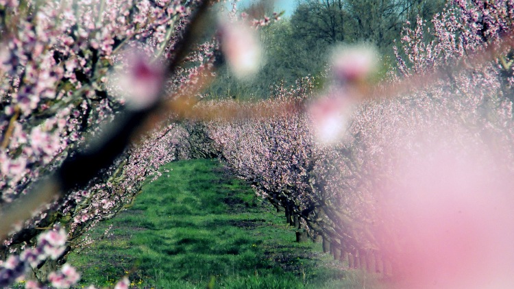 Változó idő nehezíti a tavaszi munkákat, kell a jó időzítés