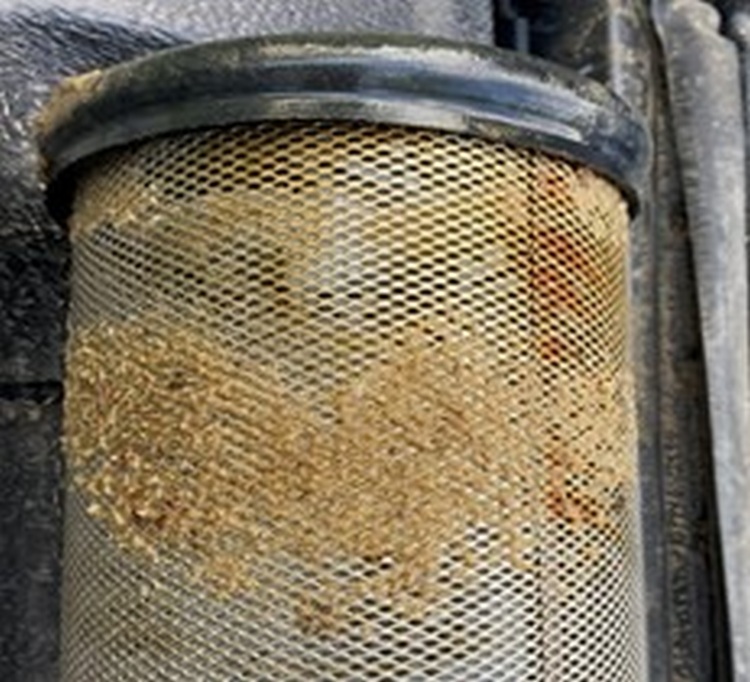 Az április–májusi nyárfavirágzás váratlanul komoly eltömődési problémát okozott a rendszerben. (fotó: a szerző felvételei)