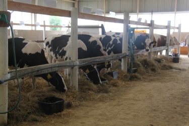 a természetes megvilágítás szerepe