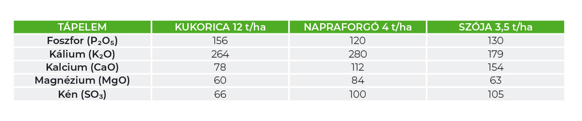 Egyes kapásnövények által felvett P, K, Ca, Mg, S mennyisége