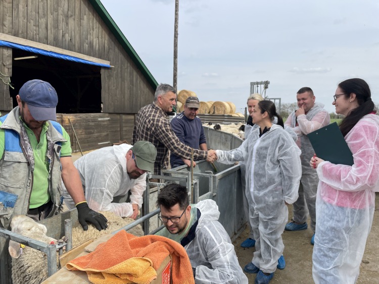 A „Juh, kecske ultrahangos vemhességvizsgálat gyakorlati képzés” Magyarországon – és tudomásuk szerint világszinten is – egyedülálló tanfolyam