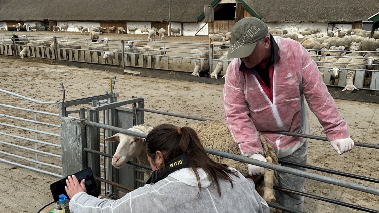 A „Juh, kecske ultrahangos vemhességvizsgálat gyakorlati képzés” Magyarországon – és tudomásuk szerint világszinten is – egyedülálló tanfolyam