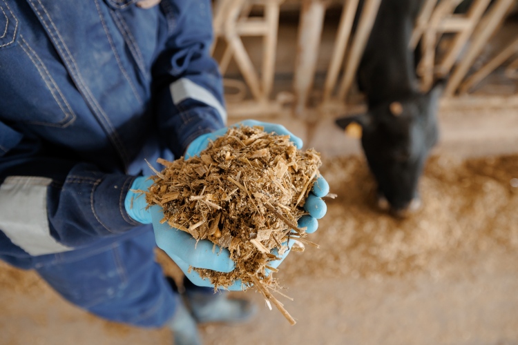 Gondolatok a májusi vetésről 2026-ban