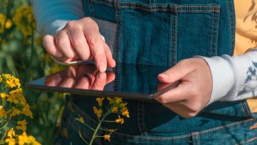 Csökkenhet és változik az adminisztrációs teher a kisgazdaságokban (Illusztráció: Shutterstock)
