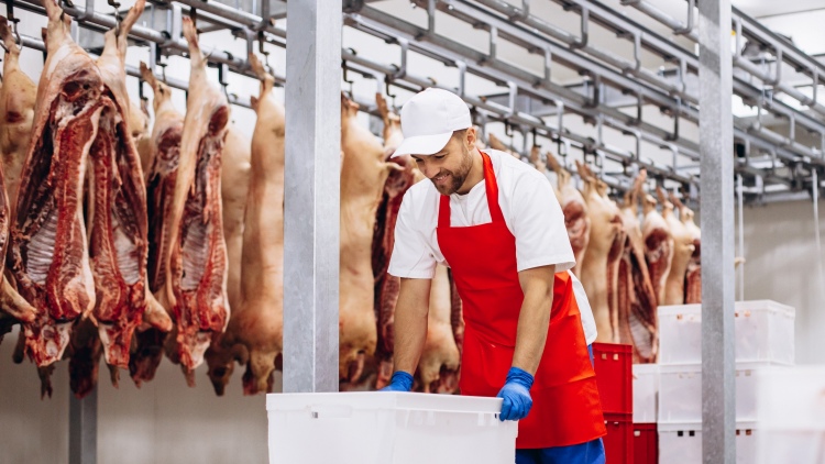 Válság és szárnyalás az európai sertéspiacon