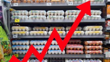 Extrém mértékben nő a tojás ára Magyarországon, amit már az import sem enyhít (Shutterstock)