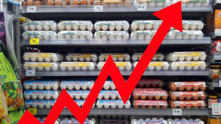 Extrém mértékben nő a tojás ára Magyarországon, amit már az import sem enyhít (Shutterstock)