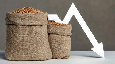 gabona vetőmag jutazsák árzuhanást jelző nyíl