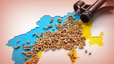 Az oroszok lopják és pusztítják az ukrán gabonakészleteket: a súlyos export-visszaesés után nehezen stabilizálódik a piac (Fotó: Shutterstock)