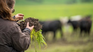 A regeneratív gazdálkodás minden mezőgazdasági ágazatnak előnyös, de vannak kritériumai (Illusztráció: Shutterstock)
