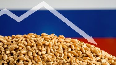 orosz zászló gabona lefelé tartó spirál