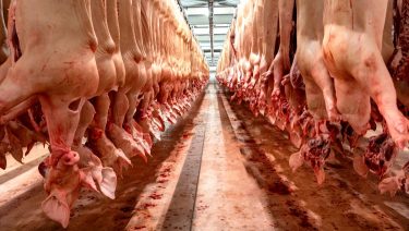 sertéshús vágóhíd sertésipar állattartás kereskedelem