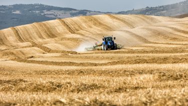 traktor búza szántóföld betakarítás aratás