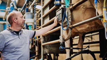 ember tehén tejgazdaság gépkezelő fejés