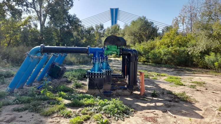 a tömlős lineárok