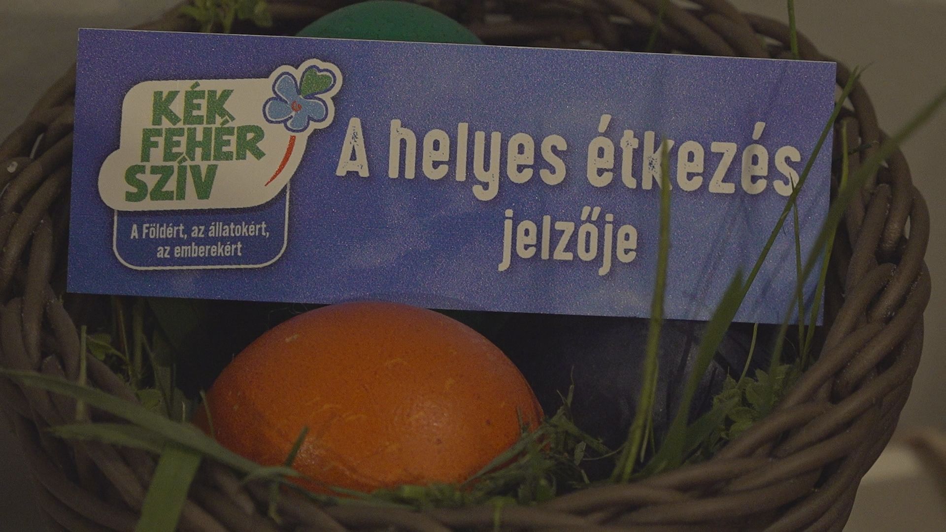 Kék Fehér Szív: az egészségünk az állatok takarmányán múlik