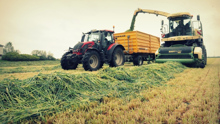 rend rendkezelés kaszálék szállító traktor