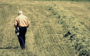 Csökkenő kibocsátás és beruházás, munkaerő- és fejlesztési hiány a mezőgazdaságban