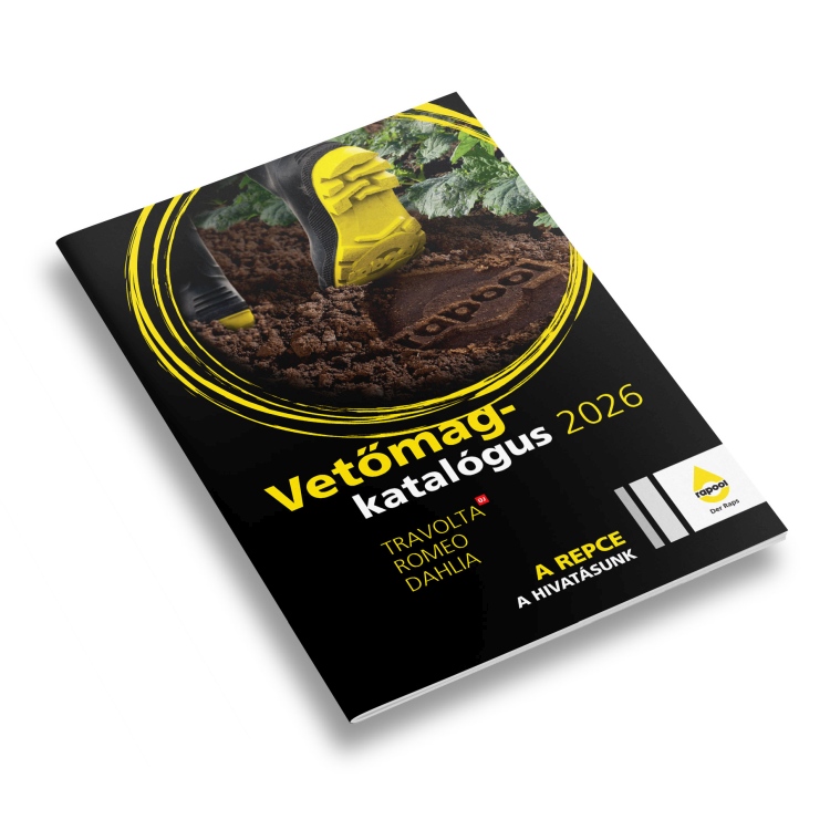 A RAPOOL repcehibrid vetőmag-katalógusa 2026-ban