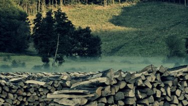 tarvágás tűzifa erdő domboldal természetvédelem