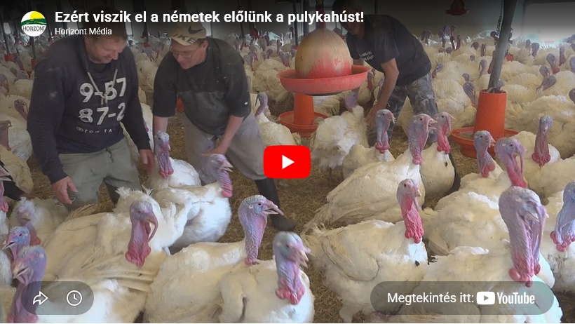 Ezért viszik el a németek előlünk a pulykahúst! (videó)