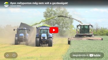 aszálykár, kényszerbetakarítás