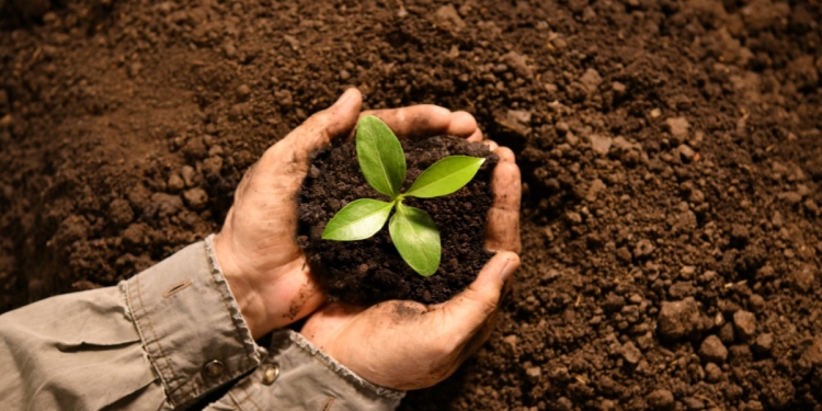 Talajmentő ötleteket keres a SOILATHON