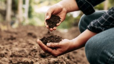 Komposzt minőségellenőrzése organikus gazdaságban agroökológia