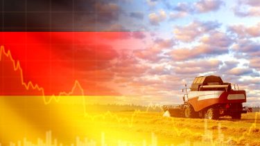 Korszerű kombájn betakarítás közben szántóföldön Németországban