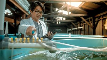 Professzionális akvakultúra intenzív halgazdaság állattartás technológia