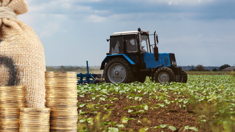 pénz érme jutazsák szántóföld traktor