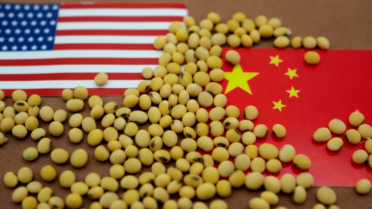 USA Kína nemzeti zászló szójabab szemek agrárkereskedelem