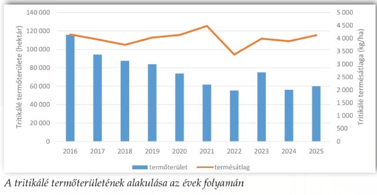 A tritikálé termőterületének alakulása az évek folyamán