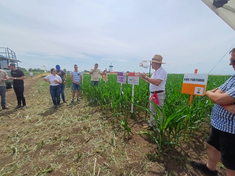 Szántóföldi szakmai bemutató kukoricatáblában, ahol az FMC-Agro technológiáit, köztük a Coragen® 20 SC-t és az Arc™ rajzáskövetést ismertették.
