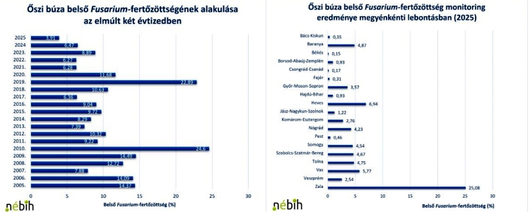 Fuzárium-fertőzöttség Magyarországon (Forrás: Nébih)