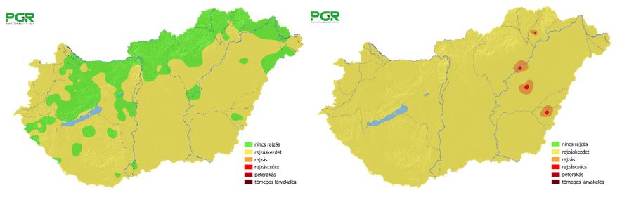 A kukoricamoly fejlődési stádiumát jelző hőösszegalapú nyomon követő térkép 
(2026.05.31 és 2026.06.11.)
(Forrás: KITE Zrt. Innovációs Főigazgatóság)
